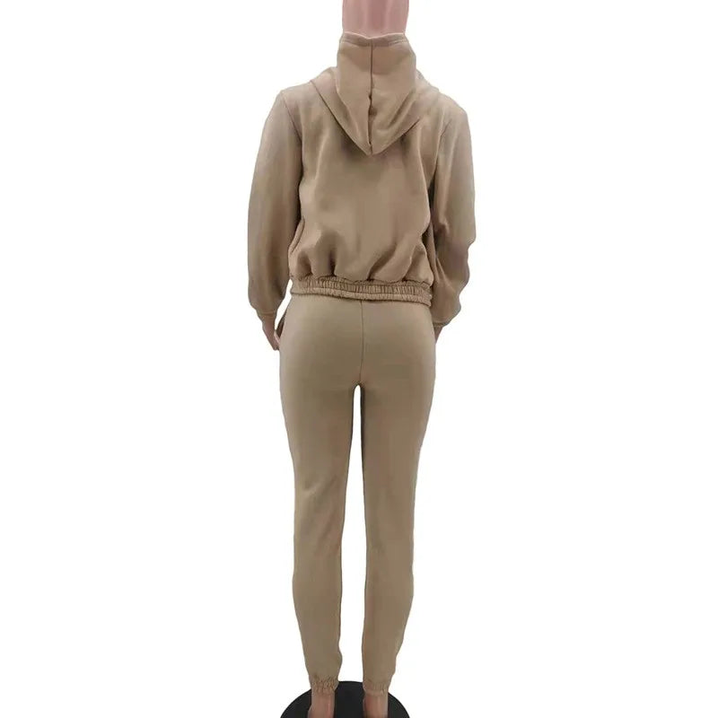 Casual Zipper Set Full Length British Style Elegant Commuting with Winter Long Sleeve Regular Sleeve Vest Plus Jacket Women Sets