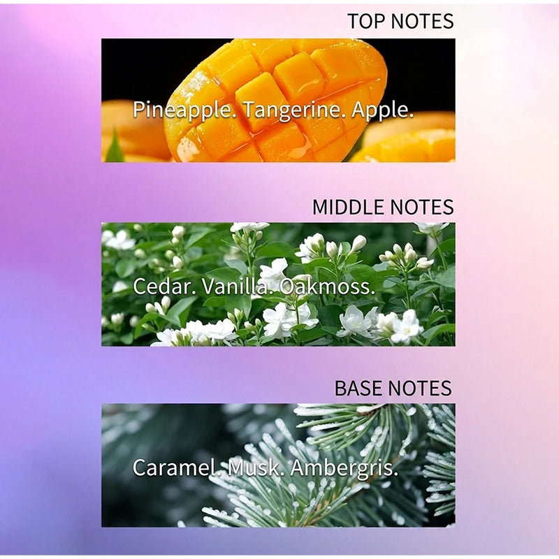 Women Eau De Parfum 100ml Long Lasting Floral Fruity Scent Gradient Bottle Design Fresh Fragrance Daily Dating Perfume For Women