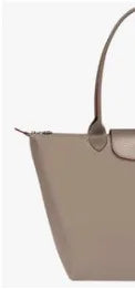 Large, Medium, Small Size French Large Capacity Folding Tote Bag, Fashionable Handheld Commuting Travel Waterproof Nylon Bag