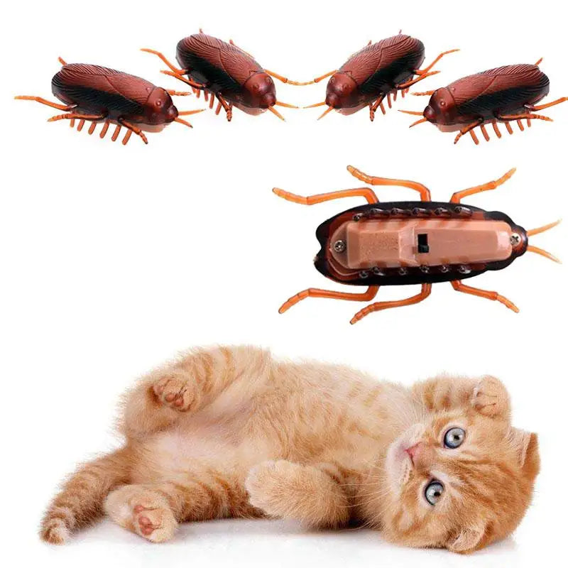 1-10Pcs Funny Electronic Pet Interactive Play Toy For Cats Eletric Running Cockroach Pet Dog Cat Interactive Toy Battery Powered