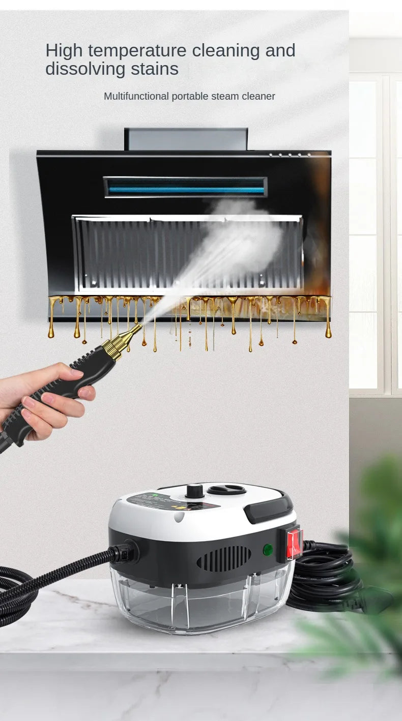 2500W Steam Cleaner High Temperature Pressurized Steam Cleaning Machine for Air Conditioning Hood Car Cleaner Home Appliance