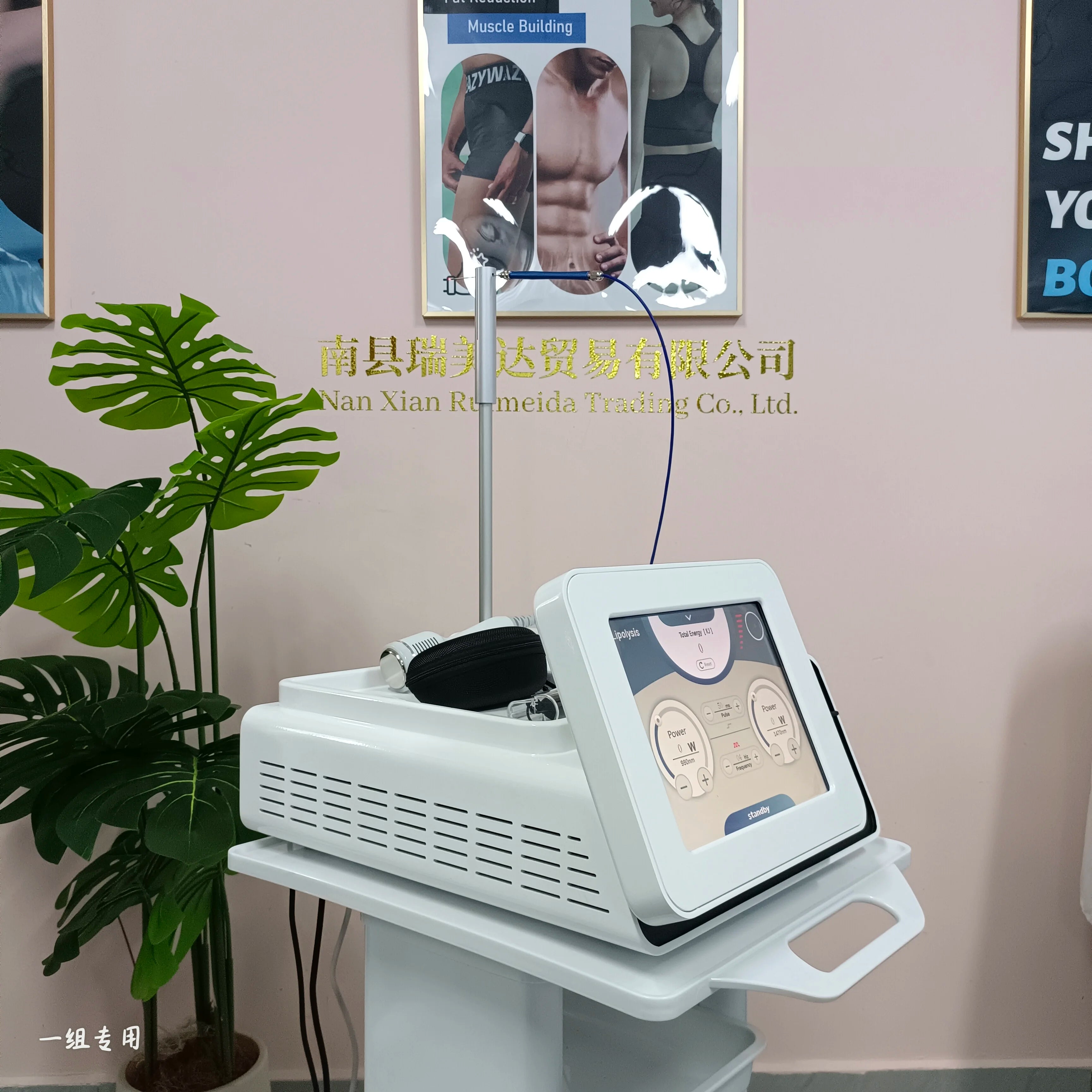 MYOSLIM Multifunctional Dual Wavelength Fiber Machine 980nm 1470nm Face Lift Body Shaping Skin Renew Device for Beauty Salons
