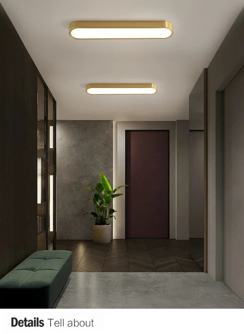 Nordic LED Ceiling Lamp Indoor Lighting Home Decoration For Living Room Bedroom Dining Table Cloakroom Corridor Cloakroom Light