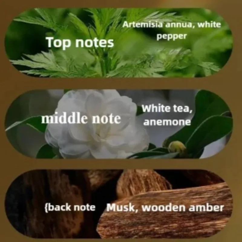 30ML Women's Eau De Parfum White Tea Moss Perfume Long Lasting Soft Floral Woody Fresh Luxury Signature Fragrance