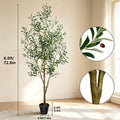 Olive Trees Artificial Indoor, 5.25/6.10/7.10FT Tall Faux Olive Tree with Black Pot, Artificial Plants with Natural Wood Trunk and Lifelike Fruits for Home Office Decor