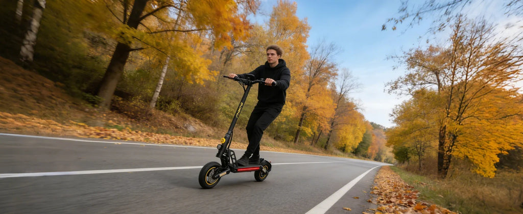 MX-17 Foldable E-Scooter for Adults 800W 48V 10.4Ah Max Speed 55KM 10 Inch Tires Large LED Display Folding E Scooter