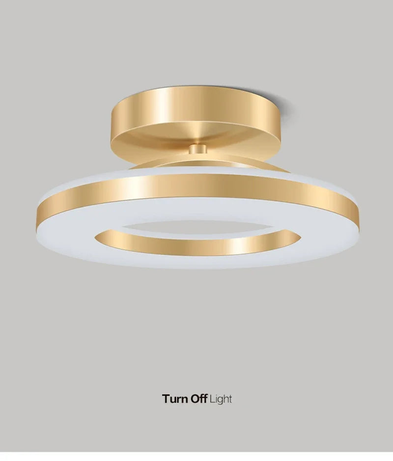 Modern LED Ceiling Lamp Indoor Lighting Home Decoretion for Bedroom Dining Table Living Room Balcony Corridor Ceiling Light