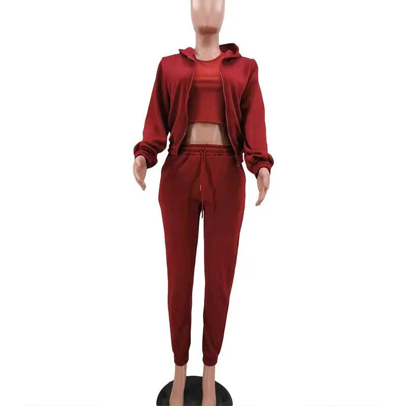 Casual Zipper Set Full Length British Style Elegant Commuting with Winter Long Sleeve Regular Sleeve Vest Plus Jacket Women Sets
