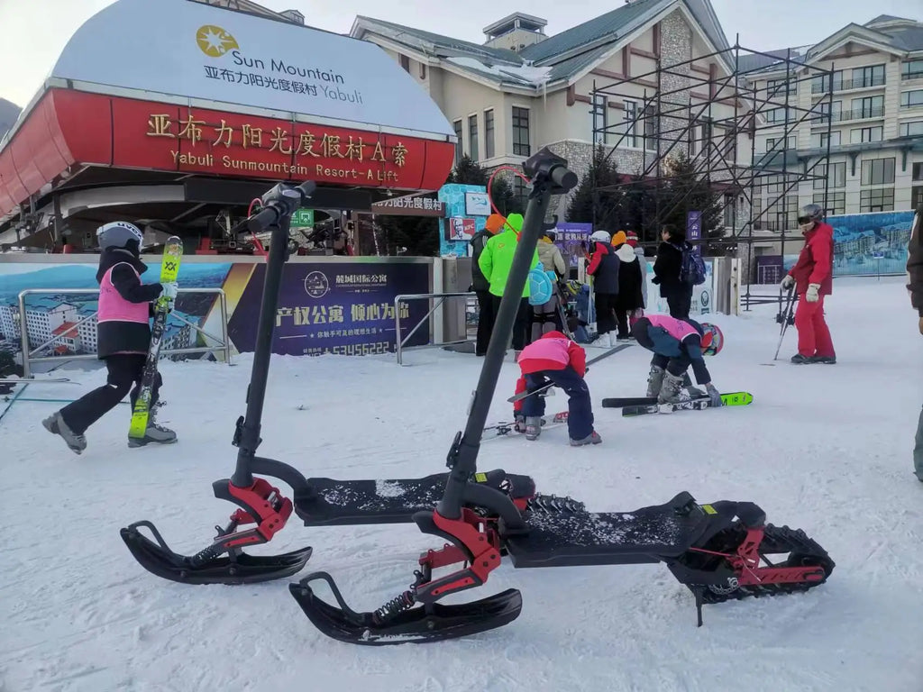 3-in-1(All-Terrain mode+Road mode+Ski mode) Snow Scooter 2000W 48V20Ah Snow Sled E-Scooter Sleigh Wheel Electric Scooter