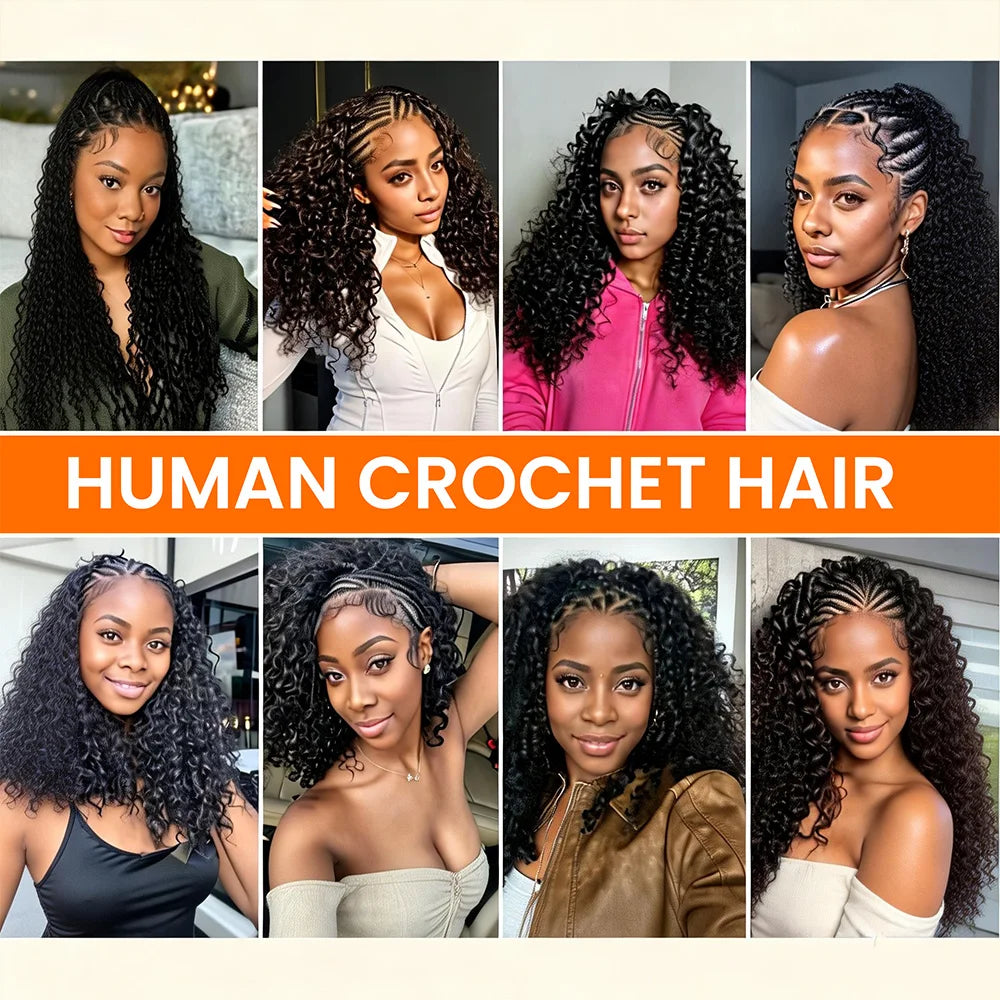 Burmese Curly Human Crochet Human Hair Feather Line Crochet Hair Braids For Thin Hair Woman Micro Pre Looped Crochet Hair
