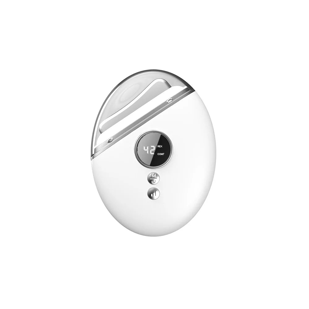 Scraping Machine Facial EMS Microcurrent Introduction Color Light Rejuvenation Massage Beauty Neck Beauty Instrument Household