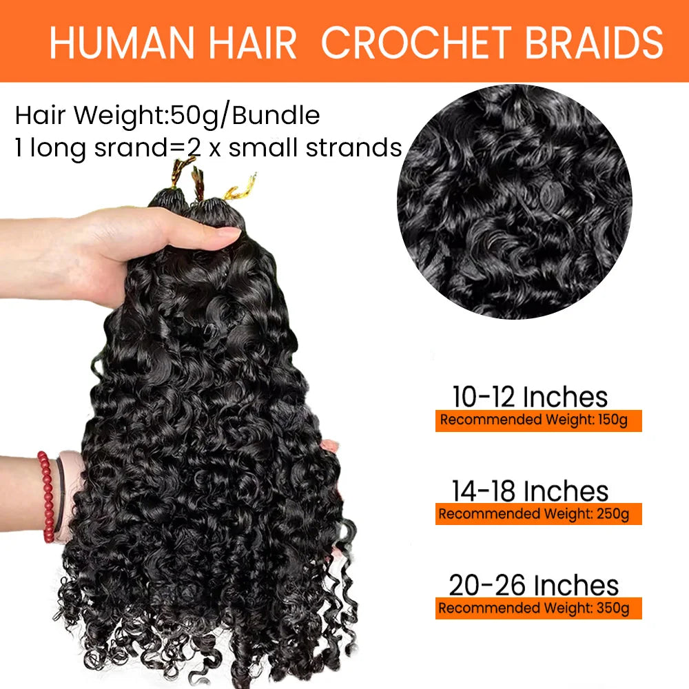 Burmese Curly Human Crochet Human Hair Feather Line Crochet Hair Braids For Thin Hair Woman Micro Pre Looped Crochet Hair