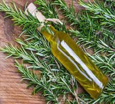 High Quality 100% Pure Fresh Rosemary Essential Oil Skin Revitalizer Supplied From India
