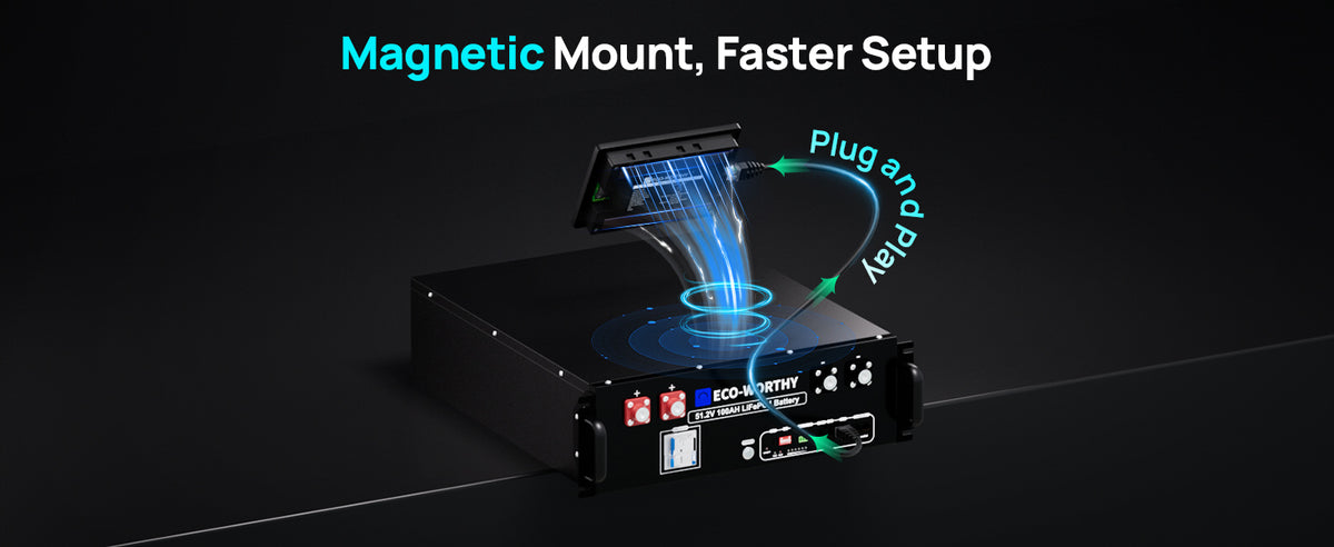 ECO-WORTHY ESM100 Battery Monitor for Cubix Series and Wall-Mount Batteries