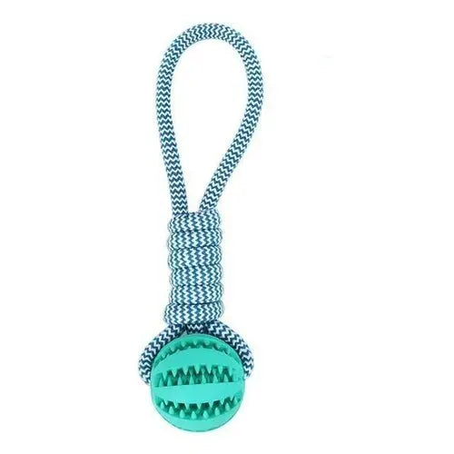 Durable Rubber Ball Chew Toy with Cotton Rope - Beauty