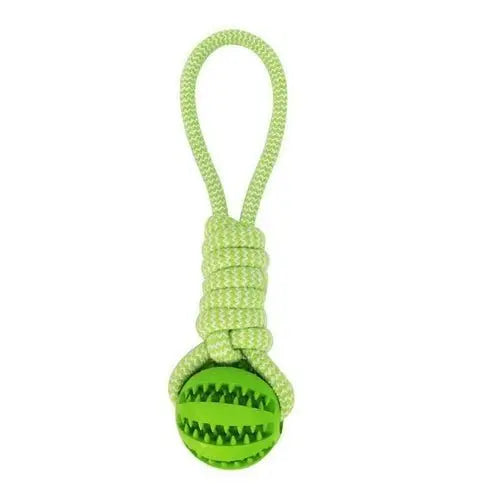 Durable Rubber Ball Chew Toy with Cotton Rope - Beauty
