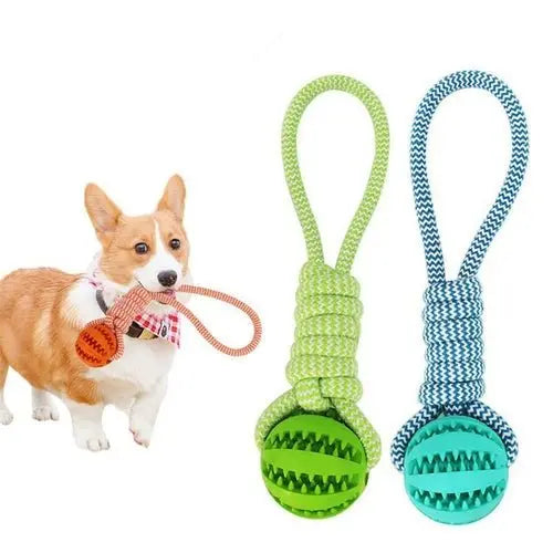 Durable Rubber Ball Chew Toy with Cotton Rope - Beauty