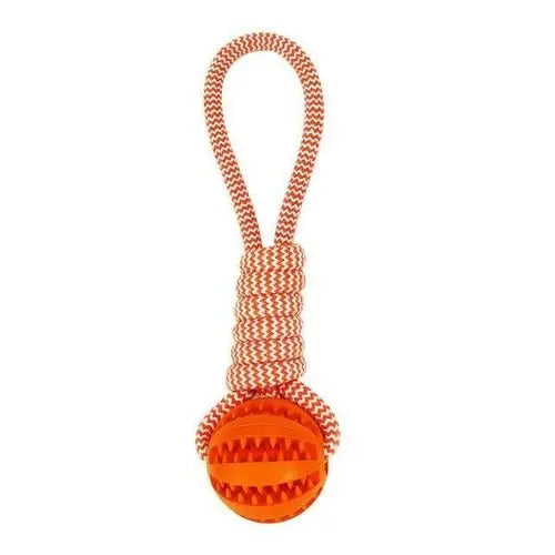 Durable Rubber Ball Chew Toy with Cotton Rope - Beauty