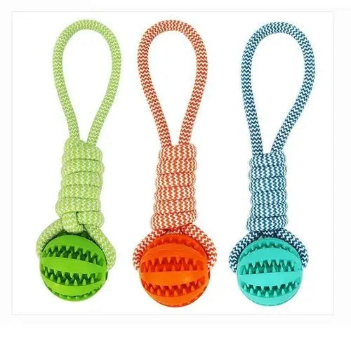 Durable Rubber Ball Chew Toy with Cotton Rope - Beauty