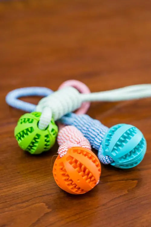 Durable Rubber Ball Chew Toy with Cotton Rope - Beauty