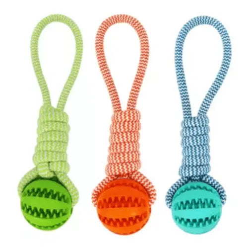 Durable Rubber Ball Chew Toy with Cotton Rope - Beauty