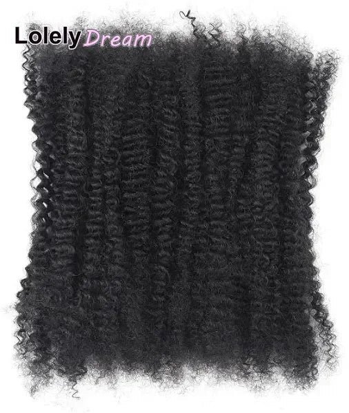 Lolely Dream Spring Twist Afro Kinky Bulk Hair 100% Human Hair For Dreadlocks Twist Braid Hair Extension Natrual Black Color - Beauty