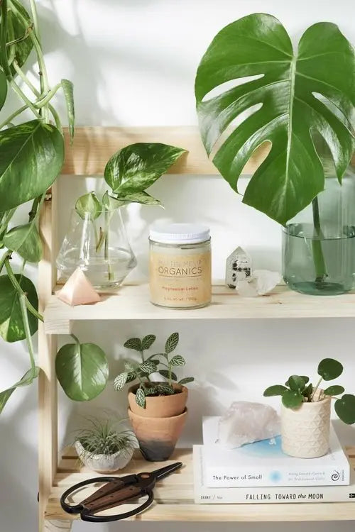 Organic Magnesium Lotion / Magnesium / Magnesium Cream / Magnesium - Beauty